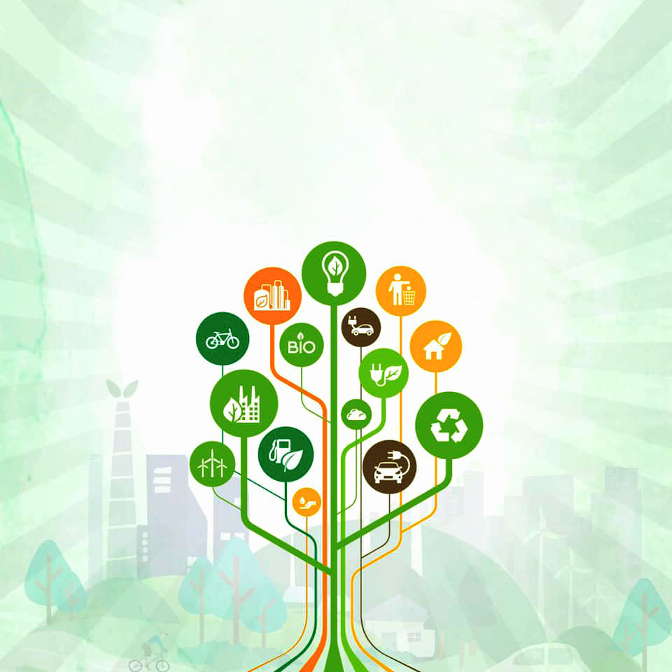 Transparency in the Global Supply Chain: The Key to Sustainable Growth